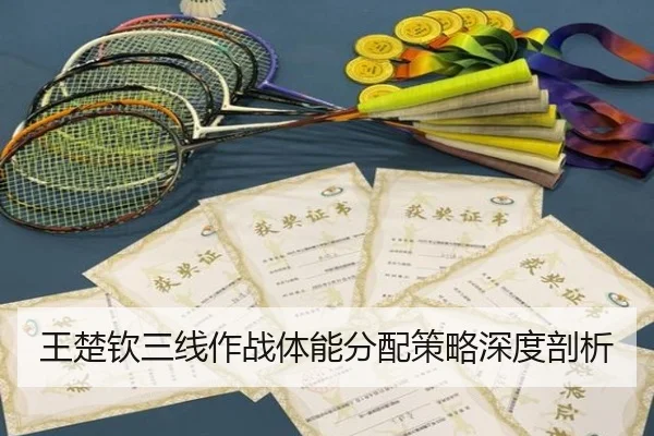 wang-chu-qin-san-xian-zuo-zhan-ti-neng-fen-pei-ce-lve-shen-du-pou-xi-2-313.jpg